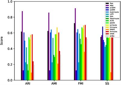 NISC: Neural Network-Imputation for Single-Cell RNA Sequencing and Cell Type Clustering